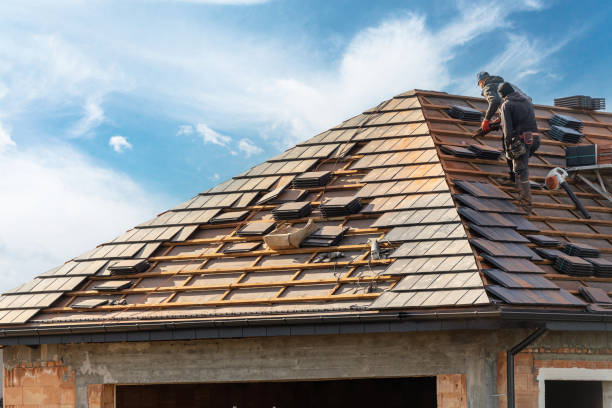 Best Gutter Installation and Repair  in Boyceville, WI